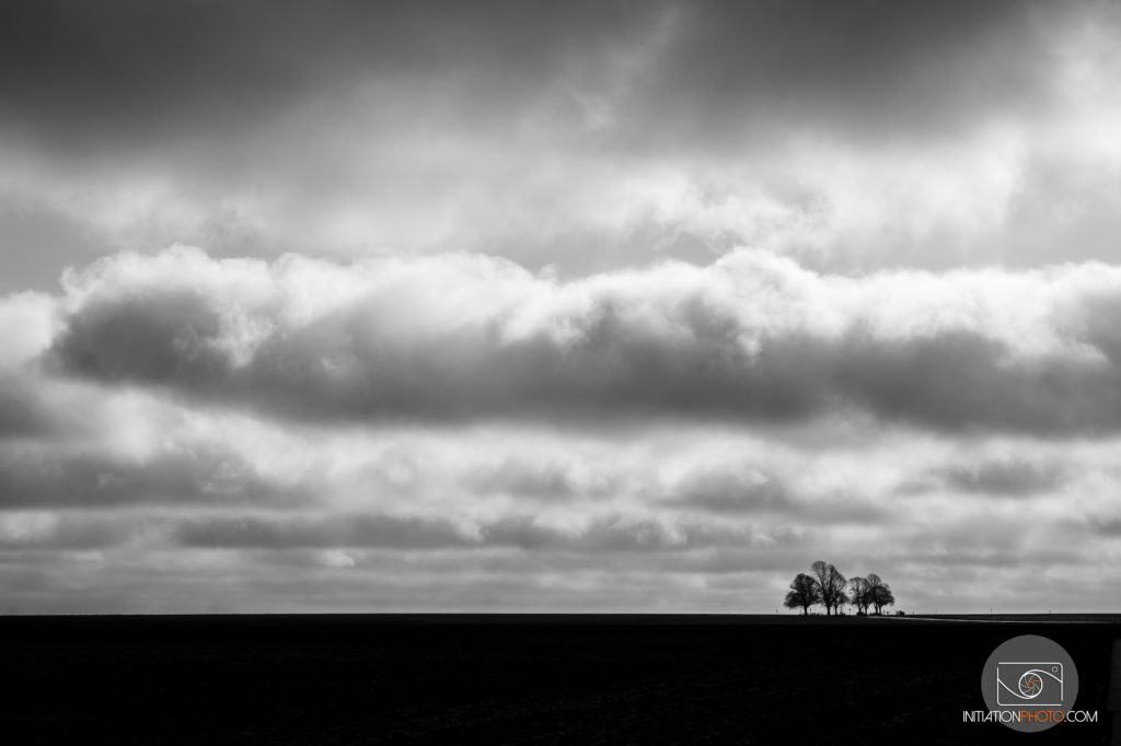 Paysage minimaliste en noir et blanc avec un ciel chargé de nuages et prédominant, et quelques arbres dans une toute petite partie de l'image (initiationphoto)