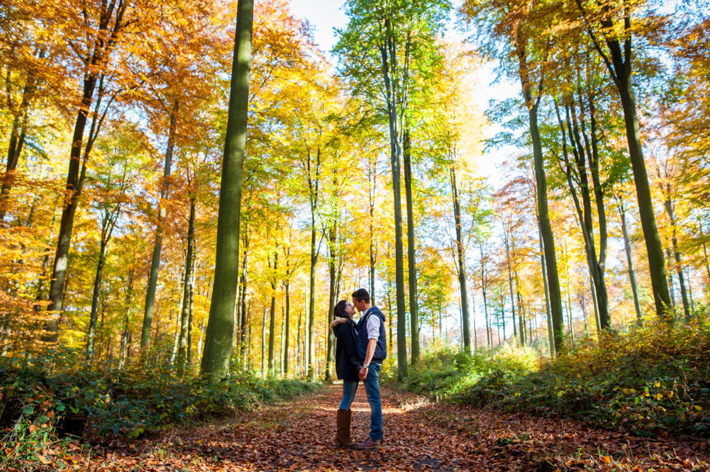 Photo couleur, d'un couple pris de loin dans une forêt en automne