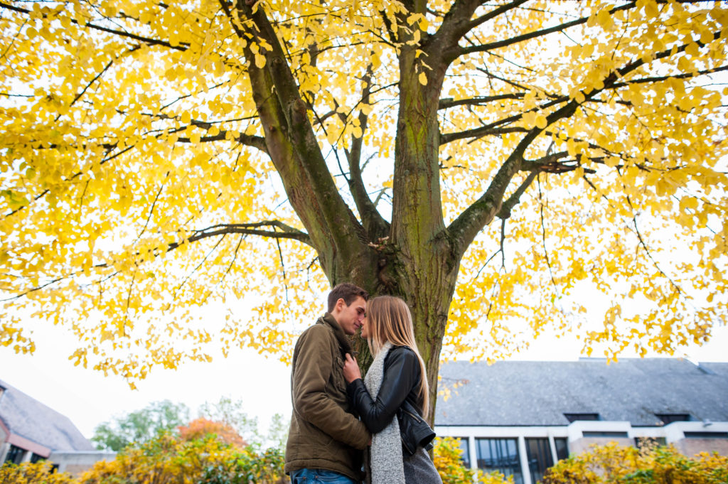 Photo en couleur d'un couple s'enlaçant sous un arbre aux feuilles jaunes