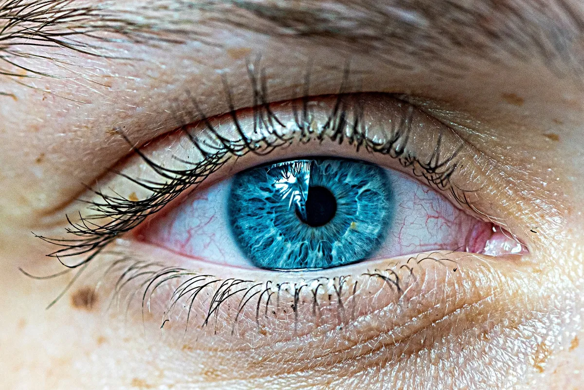 Œil bleu iris